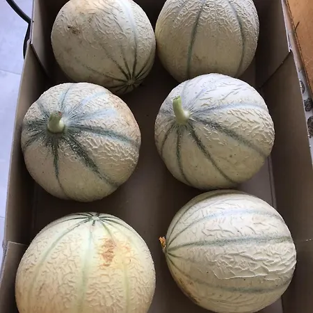 Frühstückspension Les 3 Tilleuls Roye (Somme)