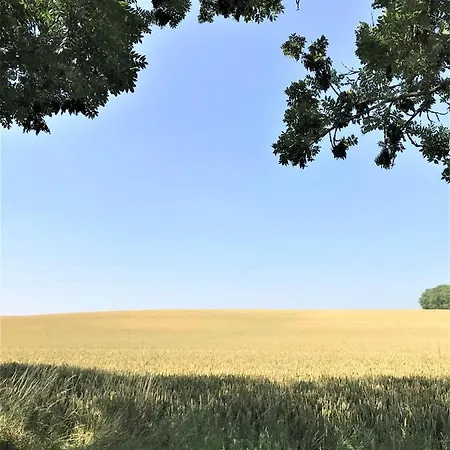 Les 3 Tilleuls