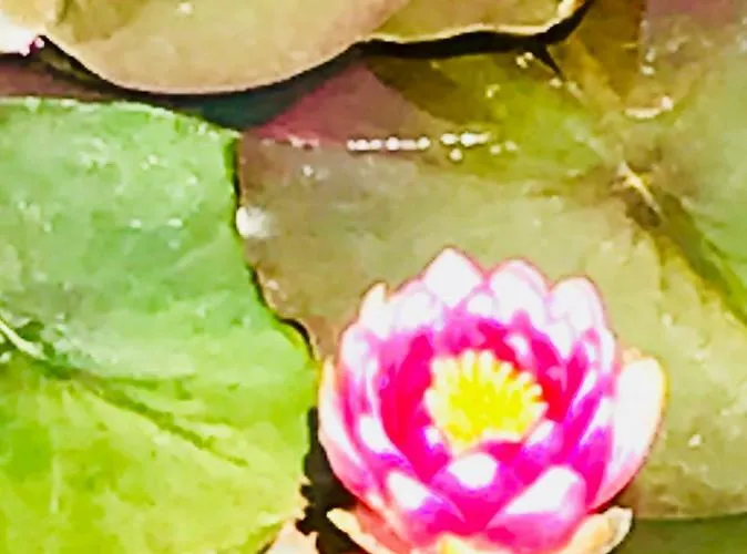 Les 3 Tilleuls 4* Roye (Somme)