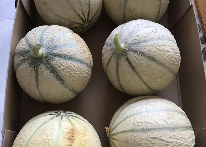 לינה וארוחת בוקר Les 3 Tilleuls רואה