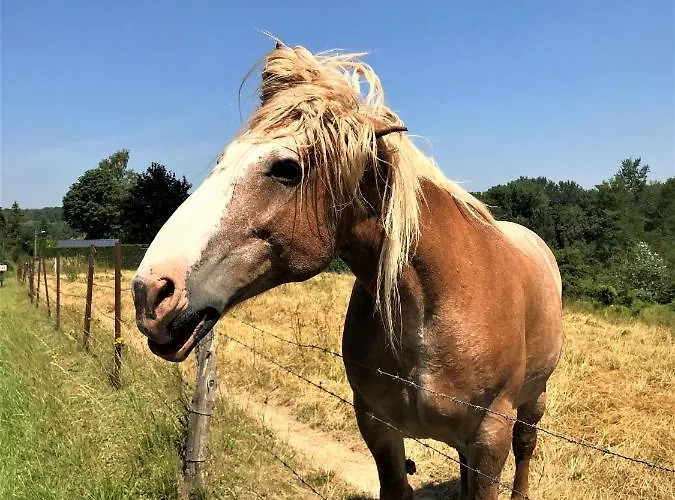 Bed & Breakfast Les 3 Tilleuls Roye (Somme)